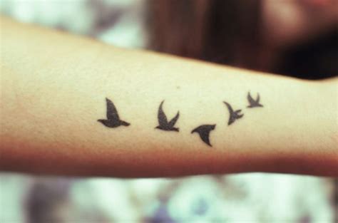 Untitled | Small bird tattoos, Elephant tattoo small, Small tattoos