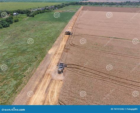 Harvesting wheat harvester stock photo. Image of agricultural - 74741246