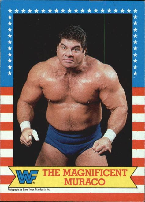 Don Muraco/Merchandise | Pro Wrestling | FANDOM powered by Wikia