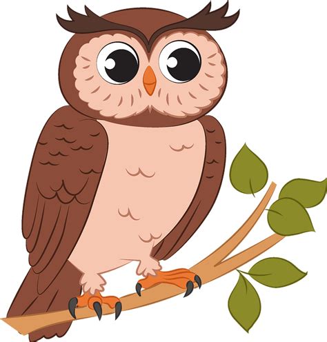 Owl Clipart - Png Download - Full Size Clipart (#5193115) - PinClipart