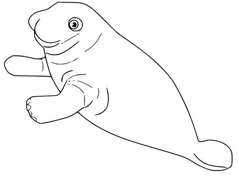 Free Manatee Coloring Page - Free Printable Coloring Pages for Kids