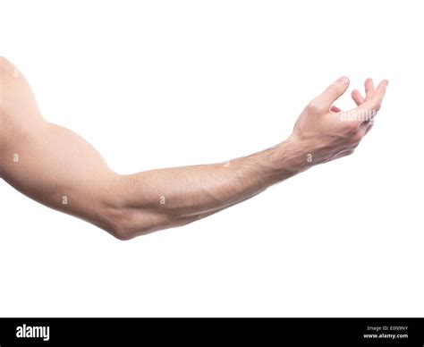 Man's arm bent at an elbow isolated on white background Stock Photo - Alamy