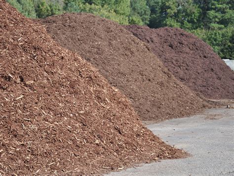 fill dirt and mulch delivery near me - Silva Bustamante