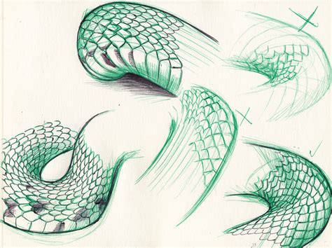 Art by D. "Psamophis" Falcão — Scales, especially snake scales are the ...