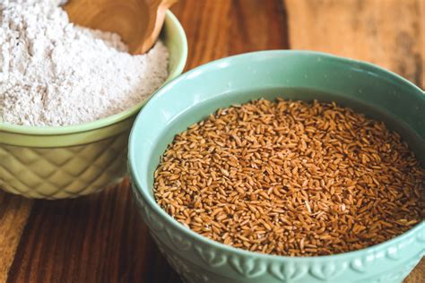 Why Sprouted Flour is Better Than Regular Flour | LaptrinhX / News