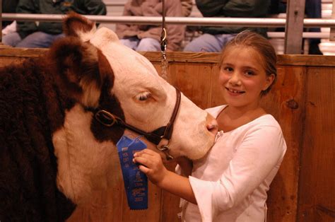 Cattle Show - Topsfield Fair Timeline