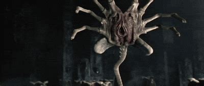 The popular Aliens Facehugger GIFs everyone's sharing