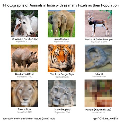 Pictures of Animals in India shown with as many pixels as their ...