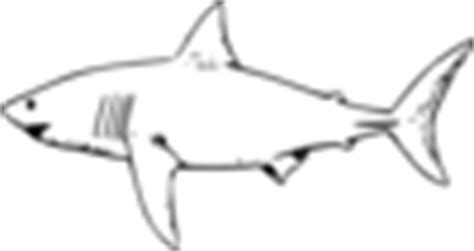 Great White Shark Clip Art at Clker.com - vector clip art online, royalty free & public domain