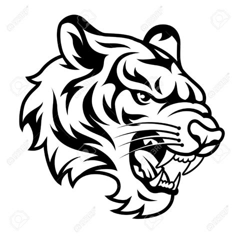 Tigers Face Drawing at GetDrawings | Free download