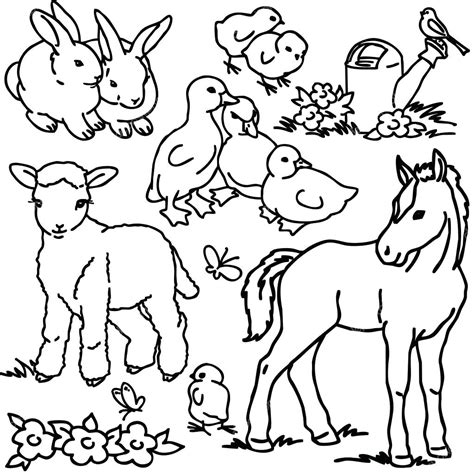 Farm Animals Drawing at PaintingValley.com | Explore collection of Farm Animals Drawing