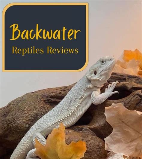 Backwater Reptiles Reviews