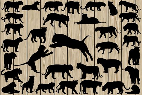 505 Animal Bundle Silhouette SVG, Vector, DXF, EPS, PNG, Animal SVG. By ...