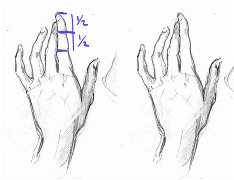 How to Draw Anime Hands, a Step-by-Step Tutorial – Two Methods – GVAAT ...