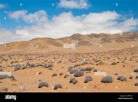 Arid desert climate hi-res stock photography and images - Alamy