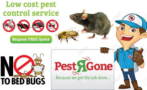 Pest Control Services In Toronto! | Mice control, Pest control services, Pest control