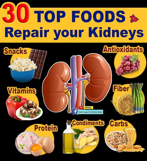 30 FOODS to REPAIR the KIDNEYS | the Healthiest Foods on the Planet ...