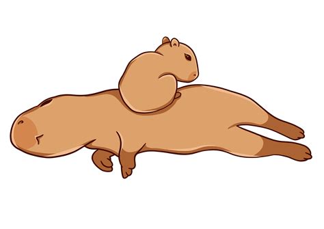 Capybara PNG Transparent Images