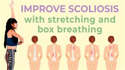 10 Min Easy Standing Stretches for Scoliosis ♥ Daily Exercise (Upper Body) | Stretches for ...