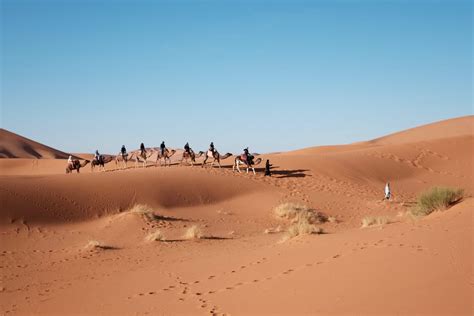 Ultimate Guide To The Lonely Kalahari Desert, South Africa