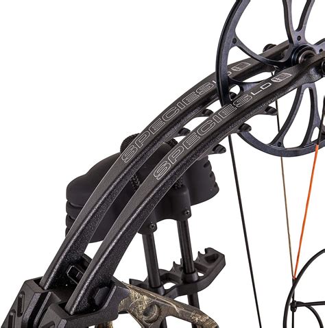 Bear Archery Species LD RTH Compound Bow Package 310 FPS - LH or RH ...