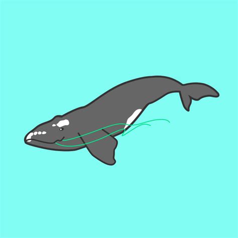 +24 Animated Whale Gif Transparent References