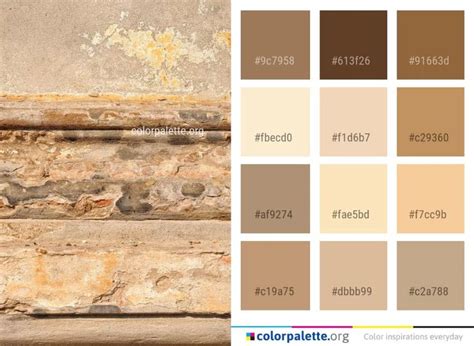 what color is sand beige - Kaila Steiner