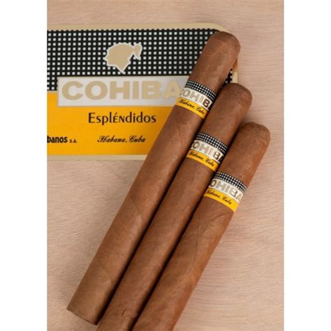 Cohiba Esplendidos - 25 cigars - Cuban cigars