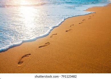 Footprints On Beach Photos, Images & Pictures | Shutterstock