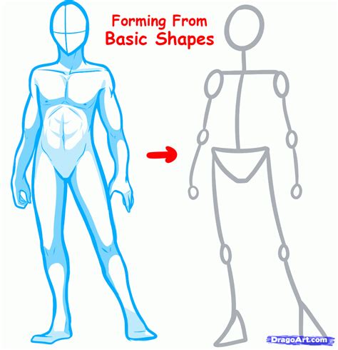 How to Draw Anime Bodies | Seems Kawaii | Drawing anime bodies, Figure ...