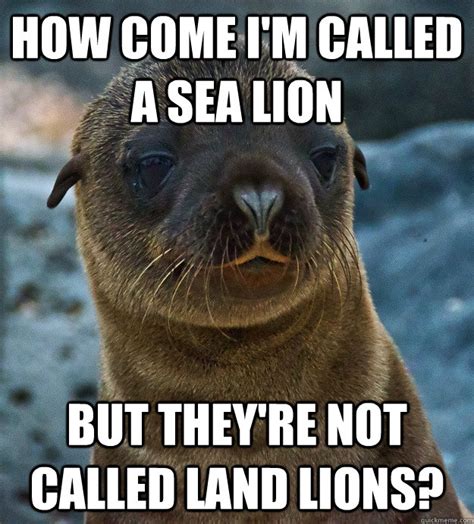 Linguistically Oppressed Sea Lion memes | quickmeme