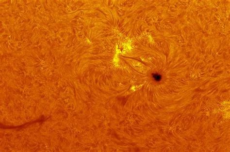 Incredible close up photos of the Sun - taken in amateur astronomer's BACK GARDEN - Mirror Online