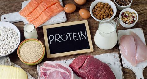 Benefits of a High Protein Diet - ActiveBeat