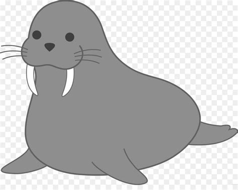 Leopard Seal Cartoon