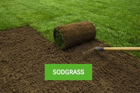 Sod Delivery Greensboro, High Point, Winston, ﻿﻿Southern Sodgrass NC Sod