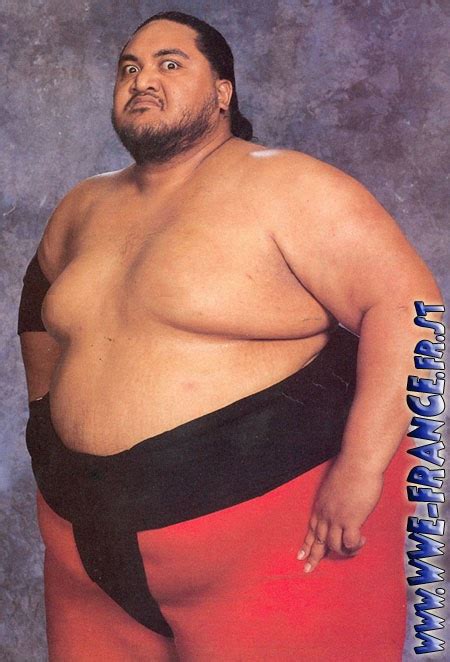 Yokozuna (WWE) | Villains Wiki | Fandom