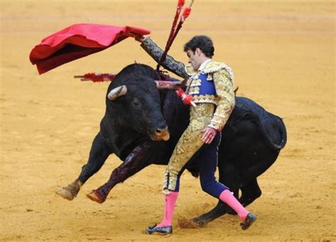 Work Injuries of Bullfighters images |Cheeky Pictures