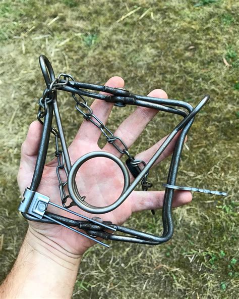 Why You Should Invest in Steel Traps | Traps, Wilderness survival, Steel