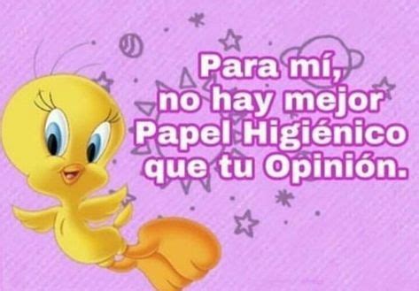 60 ideas de Piolin Grosero en 2021 | frases piolín, piolin, memes sarcásticos