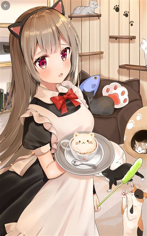 Aggregate more than 73 cat cafe anime - ceg.edu.vn