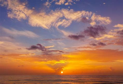 Heart of Florida Photograph by Anne Devereaux - Fine Art America