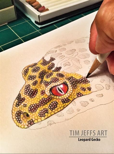 how to draw scales on a lizard - Ione Trimble