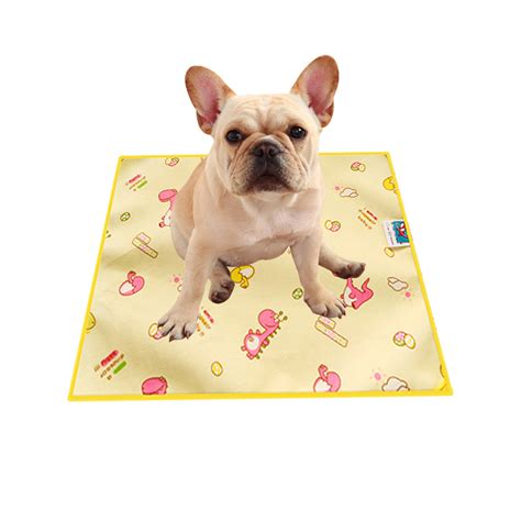 Roseonmyhand Pet Mat Waterproof Urine Insulation Double-sided Medium Dog Four Seasons Mat ...