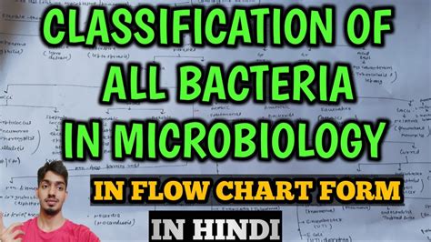 Bacteriology | Classification of Bacteria in Microbiology | Gram Staining - YouTube