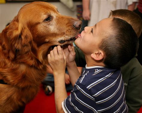 Kissing dogs not healthy: Ask Dog Lady - cleveland.com