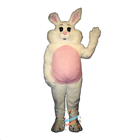 Willy Rabbit Mascot Costume