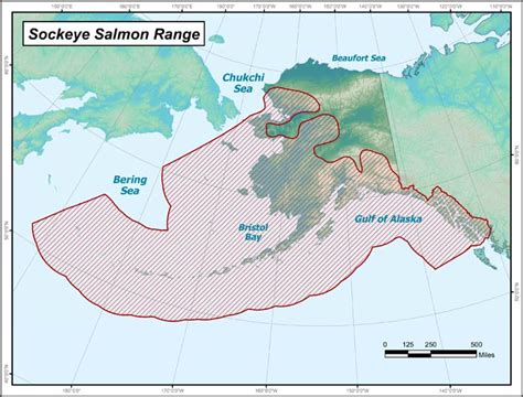 Sockeye Salmon Range Map, Alaska Department of Fish and Game