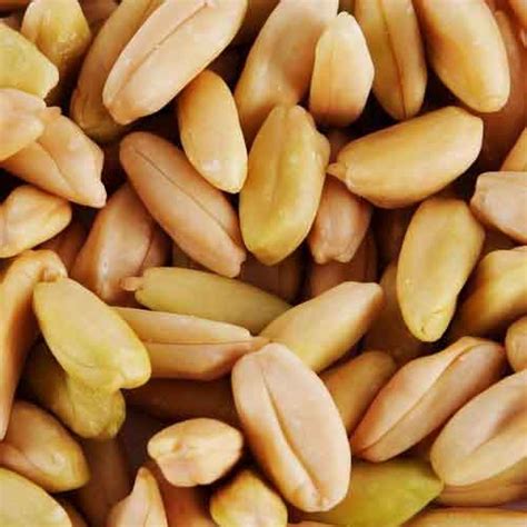 Pili Nut | Nutrition facts-Pili Nut | Health benefits