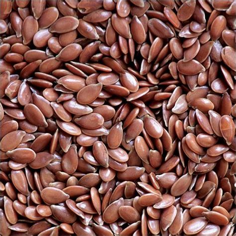 Premium Quality Flax Seeds – Pure and Natural | DM Traders