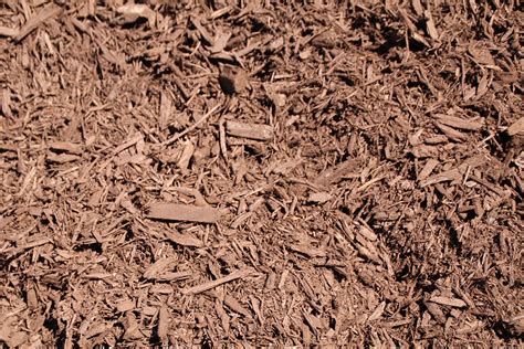 Mulch | Bark | Colored Mulch | Mulch Delivery | Madison WI